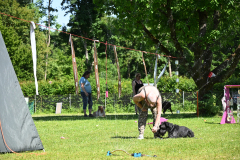 DSC_1542